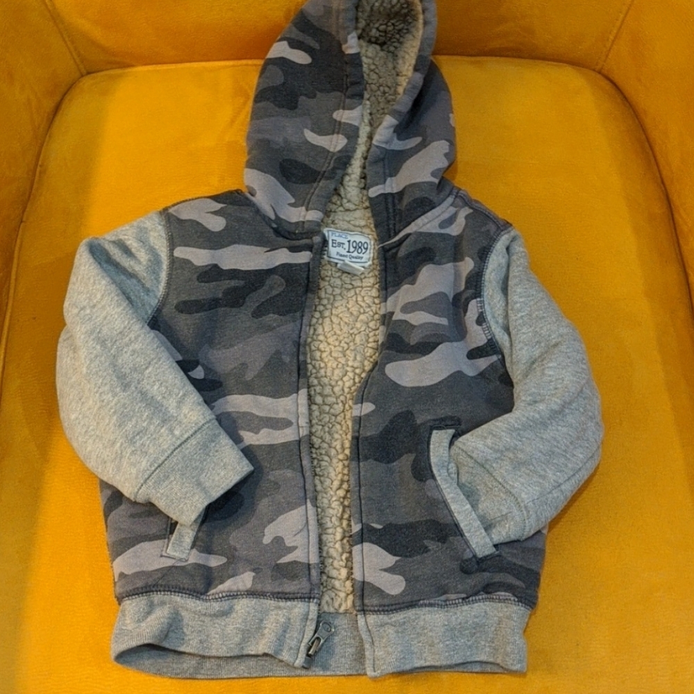 Children's Place Cozy Hoodie 2t